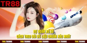 Dự Đoán Xổ Số - Cách Theo Dõi Dữ Liệu Chuẩn Xác Nhất